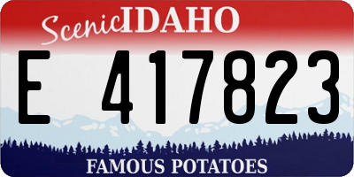 ID license plate E417823
