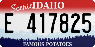ID license plate E417825