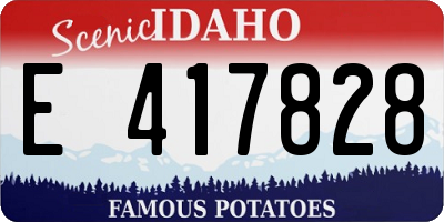 ID license plate E417828