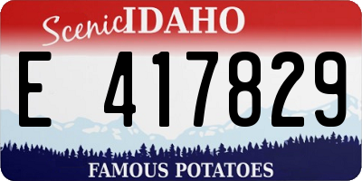 ID license plate E417829