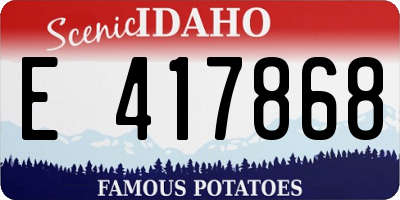 ID license plate E417868