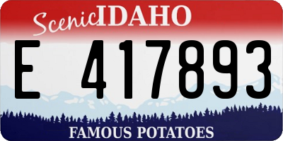 ID license plate E417893