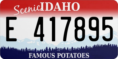ID license plate E417895