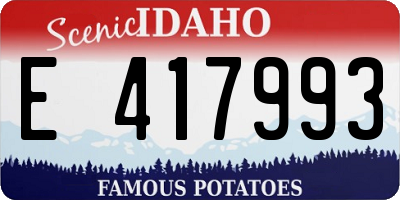 ID license plate E417993