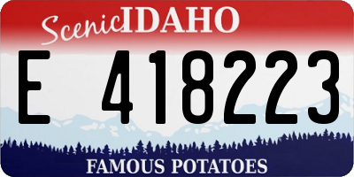 ID license plate E418223
