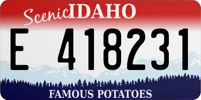 ID license plate E418231