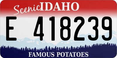 ID license plate E418239