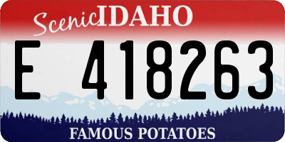 ID license plate E418263