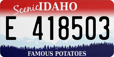 ID license plate E418503