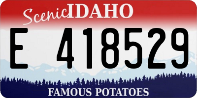 ID license plate E418529