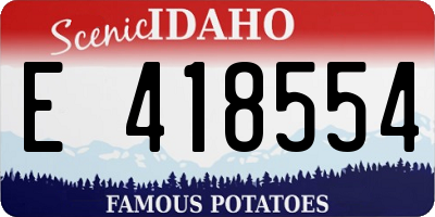 ID license plate E418554