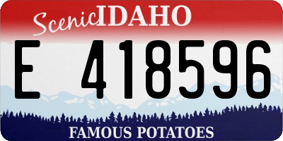 ID license plate E418596