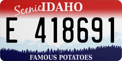 ID license plate E418691