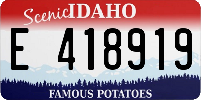 ID license plate E418919