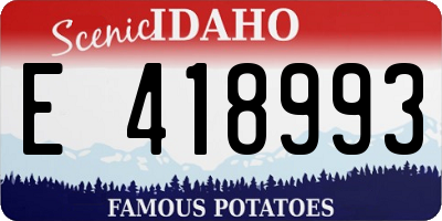ID license plate E418993