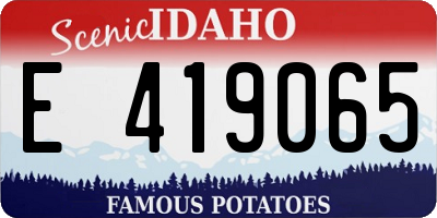 ID license plate E419065