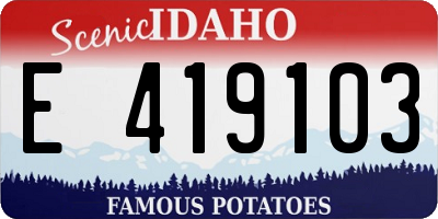 ID license plate E419103