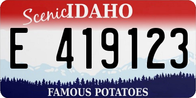 ID license plate E419123