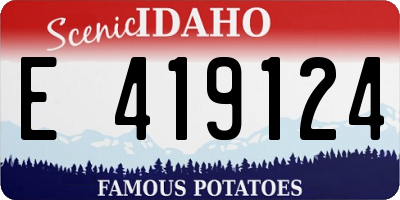 ID license plate E419124