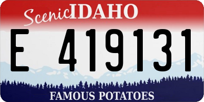ID license plate E419131