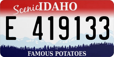 ID license plate E419133