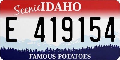 ID license plate E419154