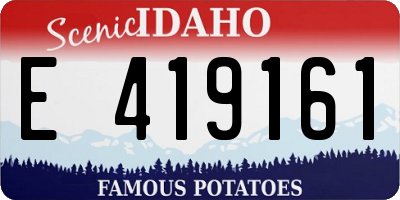ID license plate E419161