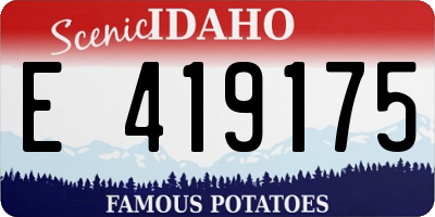 ID license plate E419175