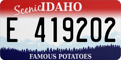 ID license plate E419202