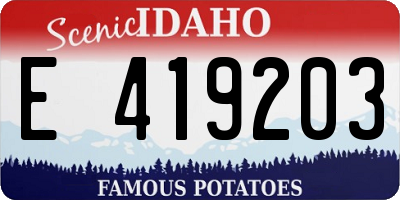 ID license plate E419203