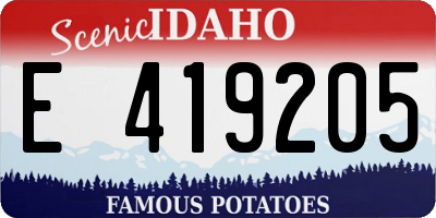 ID license plate E419205
