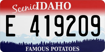 ID license plate E419209