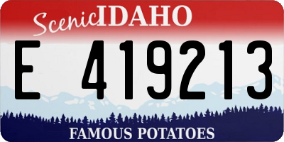 ID license plate E419213