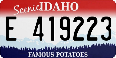 ID license plate E419223