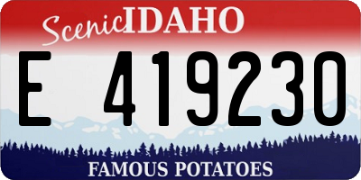 ID license plate E419230