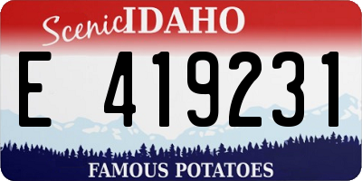 ID license plate E419231