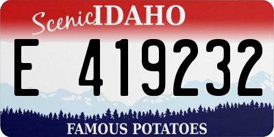 ID license plate E419232