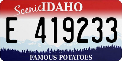ID license plate E419233
