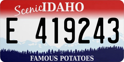 ID license plate E419243