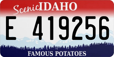 ID license plate E419256