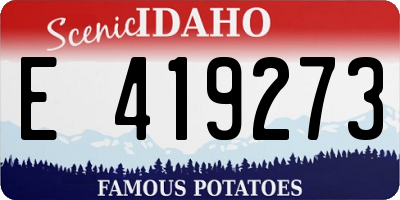 ID license plate E419273