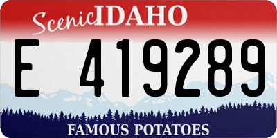 ID license plate E419289