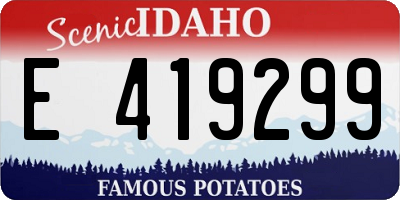 ID license plate E419299