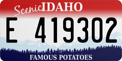 ID license plate E419302