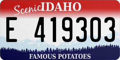 ID license plate E419303