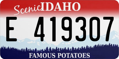 ID license plate E419307