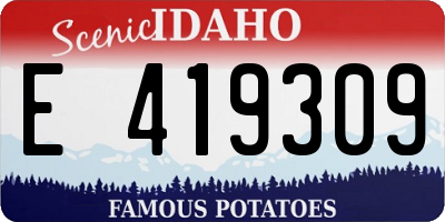 ID license plate E419309