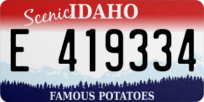 ID license plate E419334