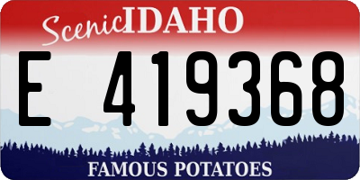 ID license plate E419368