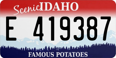 ID license plate E419387